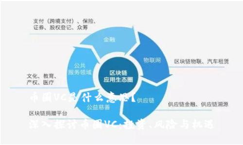 币圈VC是什么意思？

深入探讨币圈VC：投资、风险与机遇