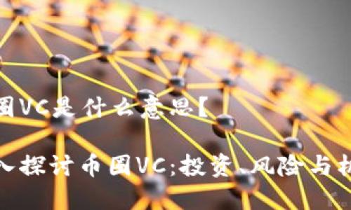 币圈VC是什么意思？

深入探讨币圈VC：投资、风险与机遇