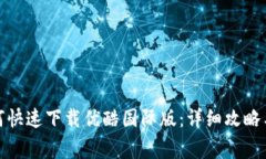: 苹果手机如何快速下载优酷国际版：详细攻略与