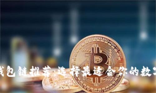 最佳加密货币钱包链推荐：选择最适合你的数字资产管理工具