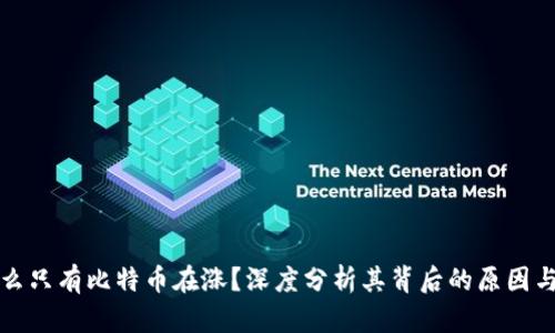为什么只有比特币在涨？深度分析其背后的原因与趋势