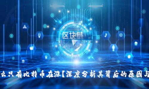 为什么只有比特币在涨？深度分析其背后的原因与趋势