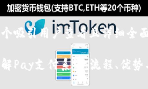 思考一个吸引用户查看且详细全面的优秀

深入了解Pay支付系统：流程、优势与应用