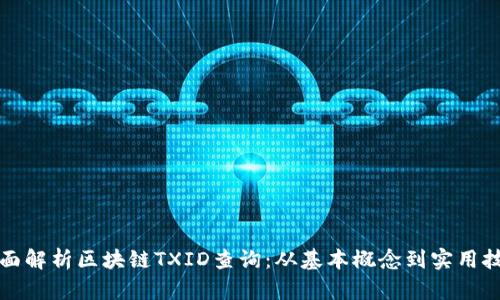 全面解析区块链TXID查询：从基本概念到实用技巧