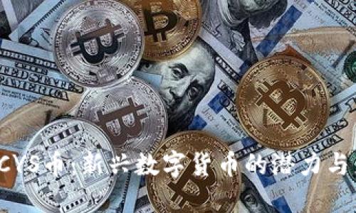  探索CYS币：新兴数字货币的潜力与影响力