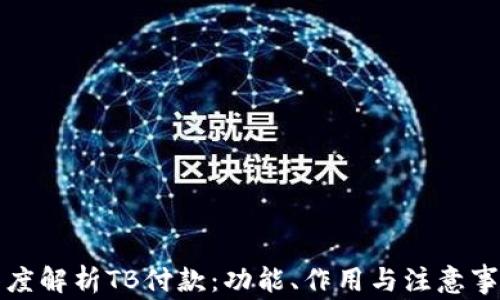 
深度解析TB付款：功能、作用与注意事项