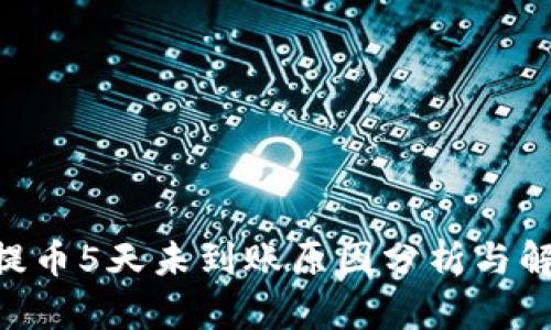  USDT提币5天未到账原因分析与解决方案