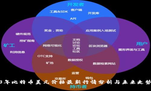 2023年比特币美元价格最新行情分析与未来走势预测