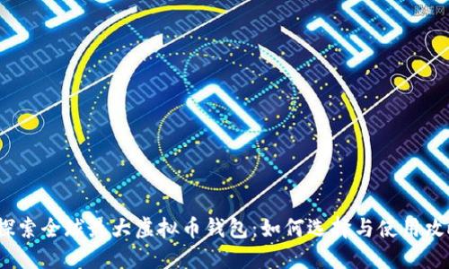  探索全球最大虚拟币钱包：如何选择与使用攻略