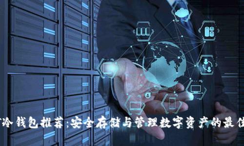 USDT冷钱包推荐：安全存储与管理数字资产的最佳选择