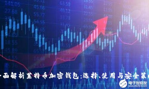 全面解析莱特币加密钱包：选择、使用与安全策略