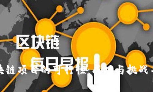 探索区块链项目的可行性：成功与挑战并肩而行