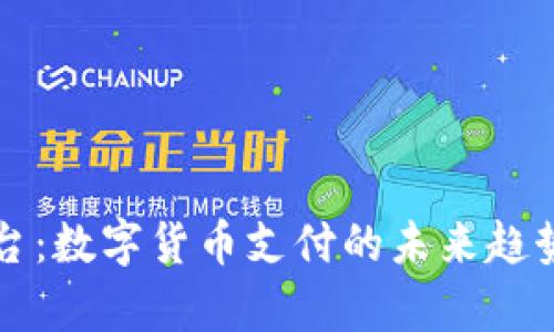 USDTPay平台：数字货币支付的未来趋势与全景解析
