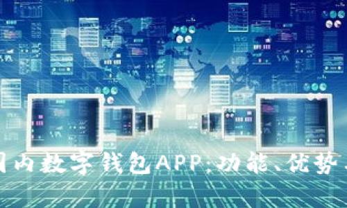 全面解析国内数字钱包APP：功能、优势与发展趋势