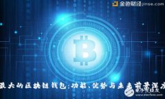 全球最大的区块链钱包：功能、优势与未来前景