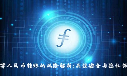 数字人民币转账的风险解析：关注安全与隐私保护