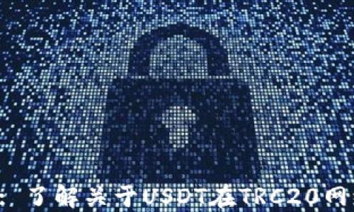 
USDTRC20: 了解关于USDT在TRC20网络上的一切