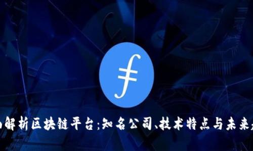 全面解析区块链平台：知名公司、技术特点与未来趋势
