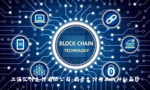 上海汇付支付有限公司：揭开支付行业的神秘面纱