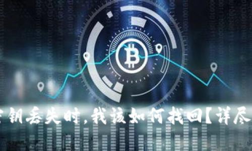 当区块链钱包密钥丢失时，我该如何找回？详尽指南与解决方案