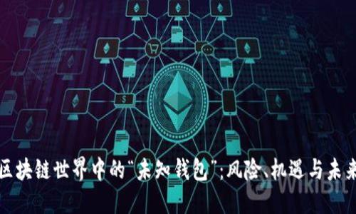 探秘区块链世界中的“未知钱包”：风险、机遇与未来展望
