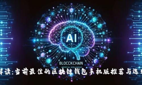 全面解读：当前最佳的区块链钱包手机版推荐与选购指南