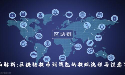 全面解析：区块链提币到钱包的提现流程与注意事项