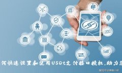 全面解析：如何快速设置和使用USDt支付接口授权