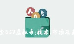 深入探索BSV虚拟币：技术、市场及未来展望