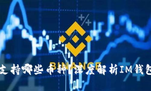 IM钱包冷钱包支持哪些币种？深度解析IM钱包的多币种优势