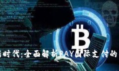 全球支付新时代：全面解析PAY国际支付的优势与