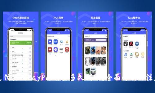 国外支付使用PayPal需要多久到账？全面解析与注意事项
