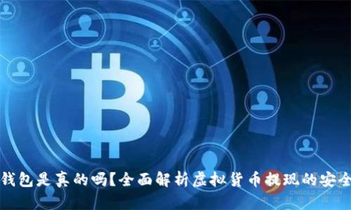 虚拟币提现钱包是真的吗？全面解析虚拟货币提现的安全性与可靠性