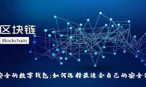 探索最安全的数字钱包：如何选择最适合自己的安全保障方案