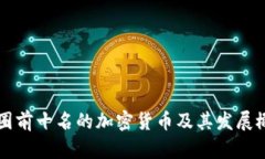 币圈前十名的加密货币及其发展概述
