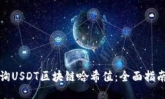 思考如何高效查询USDT区块链哈希值：全面指南与