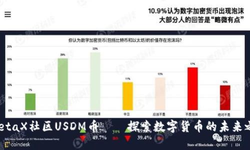  MetaX社区USDM币——探索数字货币的未来之路