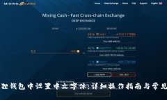 如何在狐狸钱包中设置中文字体：详细操作指南