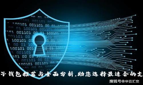 最佳电子钱包推荐与全面分析，助您选择最适合的支付工具