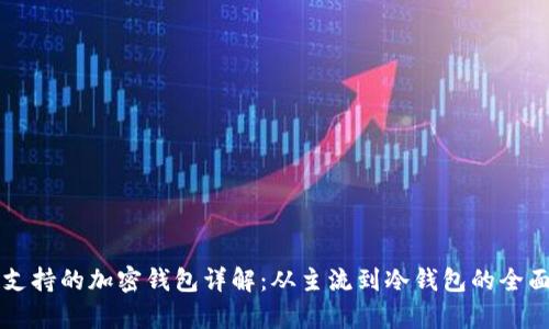 中国支持的加密钱包详解：从主流到冷钱包的全面解析
