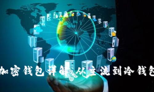 中国支持的加密钱包详解：从主流到冷钱包的全面解析