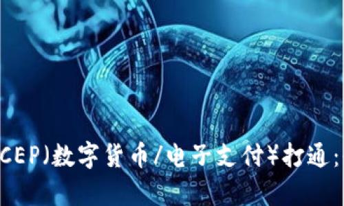 区块链钱包如何与DCEP（数字货币/电子支付）打通：全面解析与应用前景