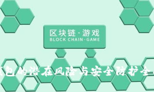 数字钱包的潜在风险与安全防护全面解析