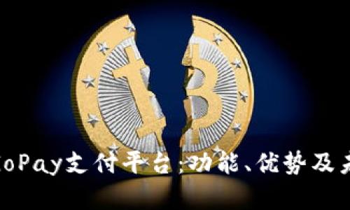 : 全面解读GoPay支付平台：功能、优势及未来发展趋势