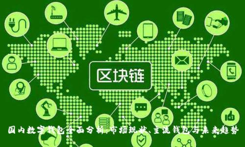 国内数字钱包全面分析：市场现状、主流钱包与未来趋势
