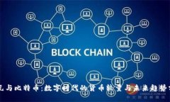 美元与比特币：数字时代的货币较量与未来趋势