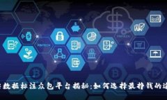 顶尖数据标注众包平台揭秘：如何选择最挣钱的
