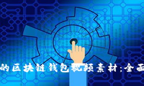 如何获取高质量的区块链钱包视频素材：全面指南与资源推荐
