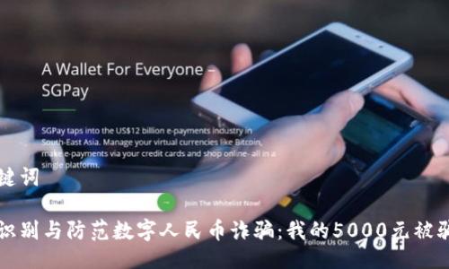 与关键词

如何识别与防范数字人民币诈骗：我的5000元被骗经历