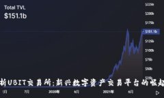 深度解析UBIT交易所：新兴数字资产交易平台的崛